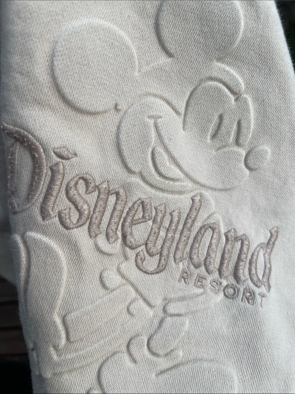 Disneyland Nuetral Mickey Sweatshirt S